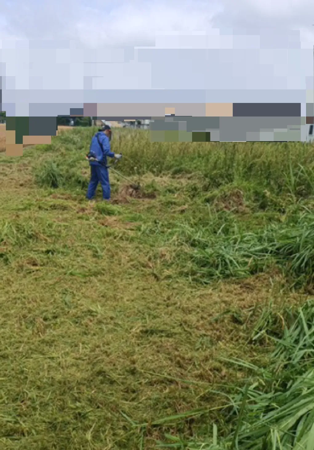 玉村町|雨上がりの高草地で草刈り・粉砕対応